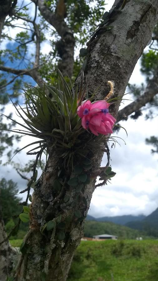Hostel E Pousada Vale Mirante Da Rocha Timbe do Sul Экстерьер фото
